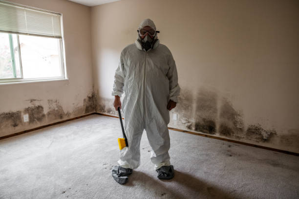 Attic Mold Removal in Bremen, IN
